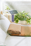 Amethyst Pillow