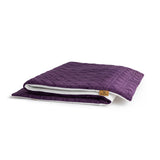 Quantum energy Pad Pro